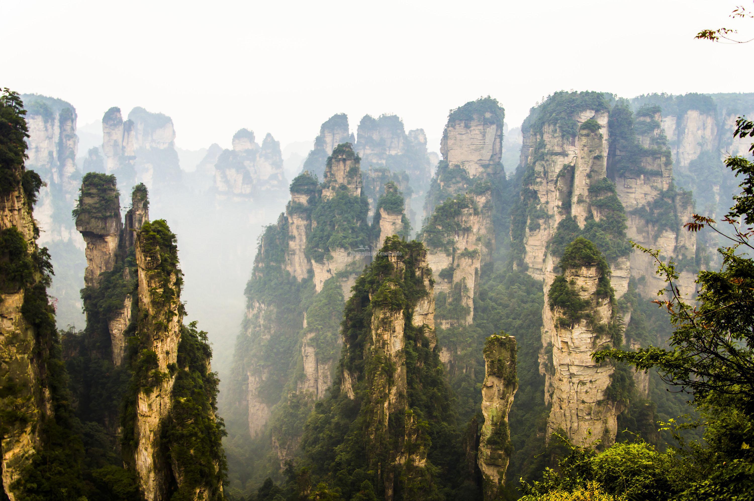 Zhangjiajie National Forest Park China Wallpapers Images Photos Pictures Backgrounds