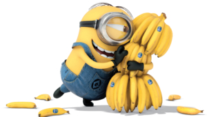Minion Bananas Wide
