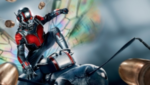 Ant Man High Quality Wallpapers4