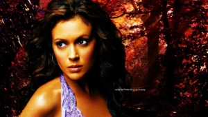 Charmed Free Wallpapers5