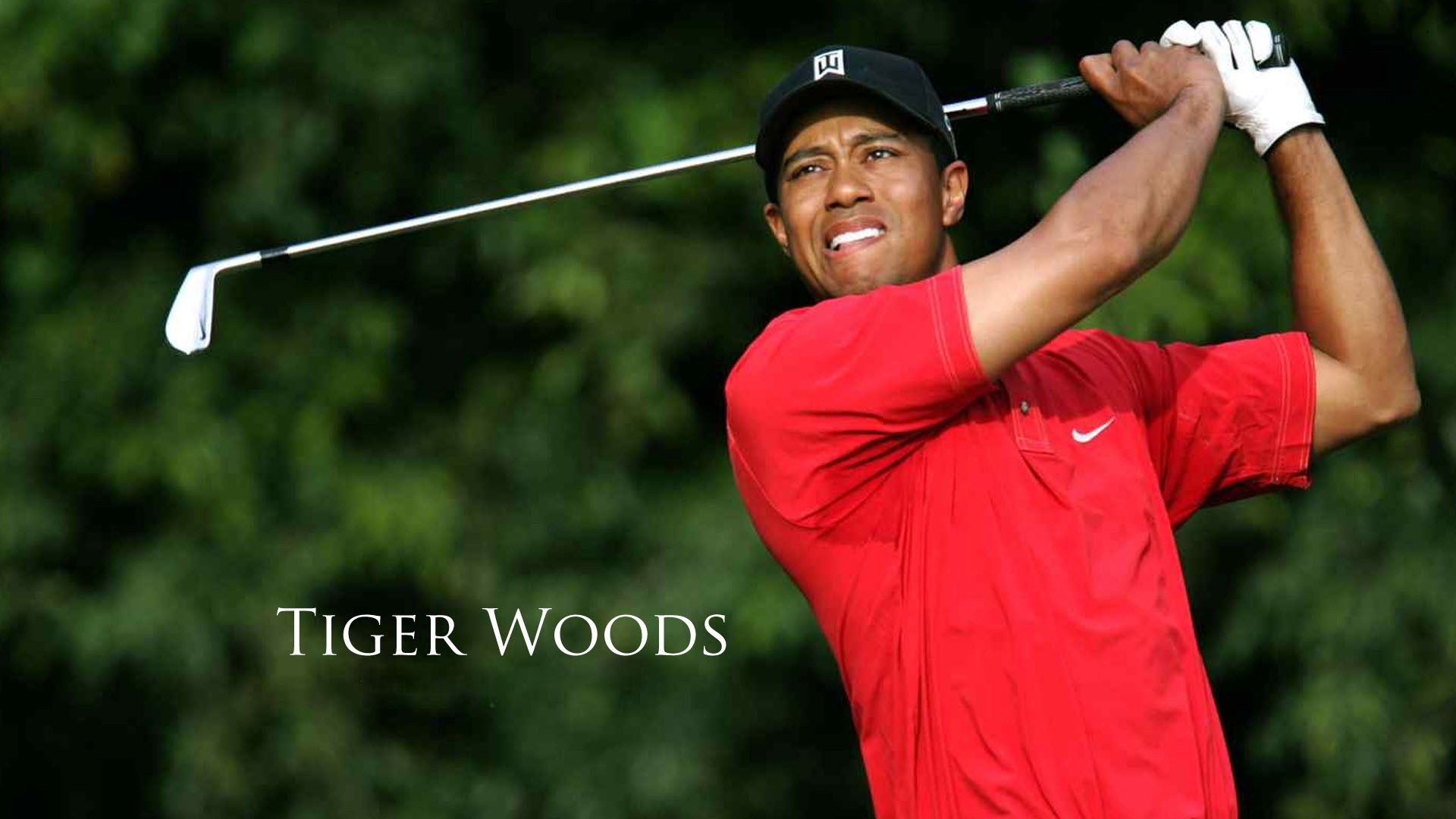 Tiger Woods Background