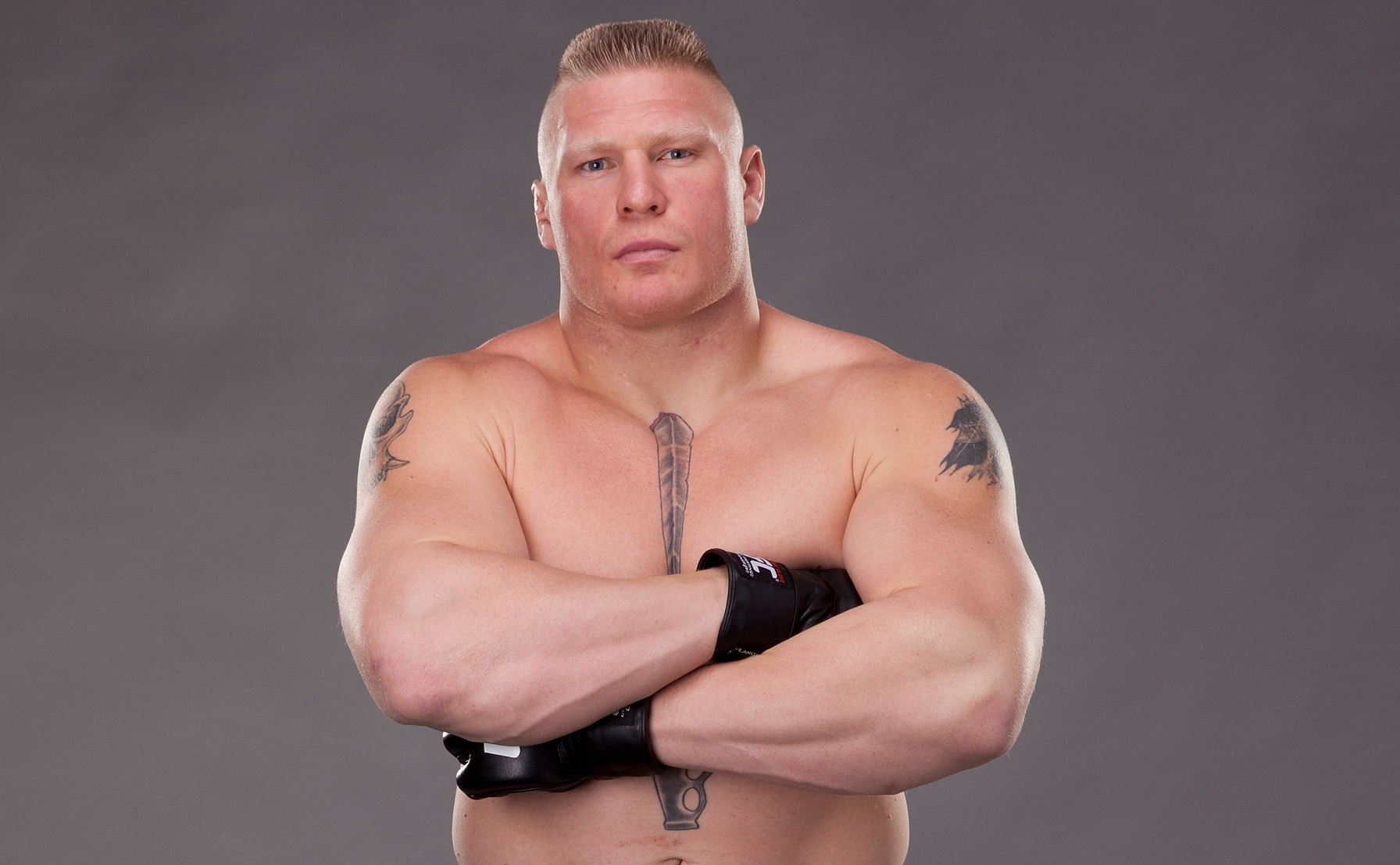 Brock Lesnar HD Background.