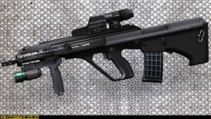 Pictures Of STEYR AUG A3