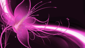 Pink Abstract Computer Backgrounds