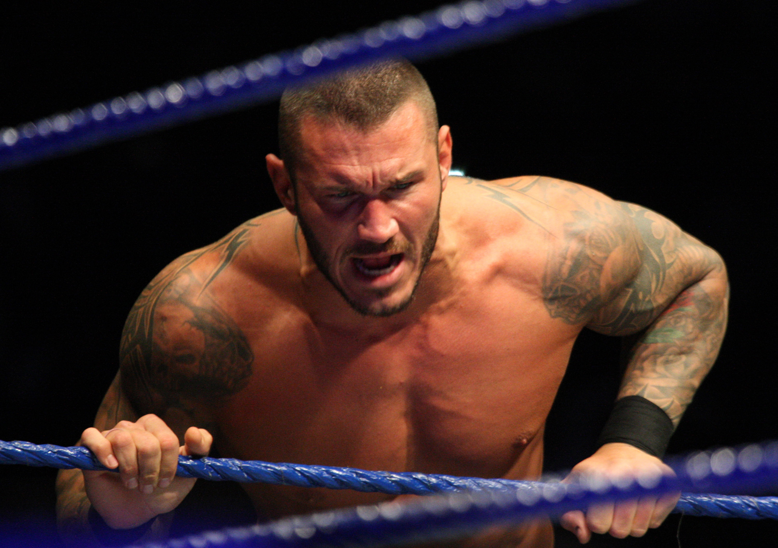 Randy Orton High Quality Wallpapers