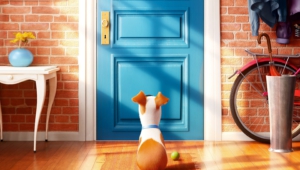 The Secret Life Of Pets Background