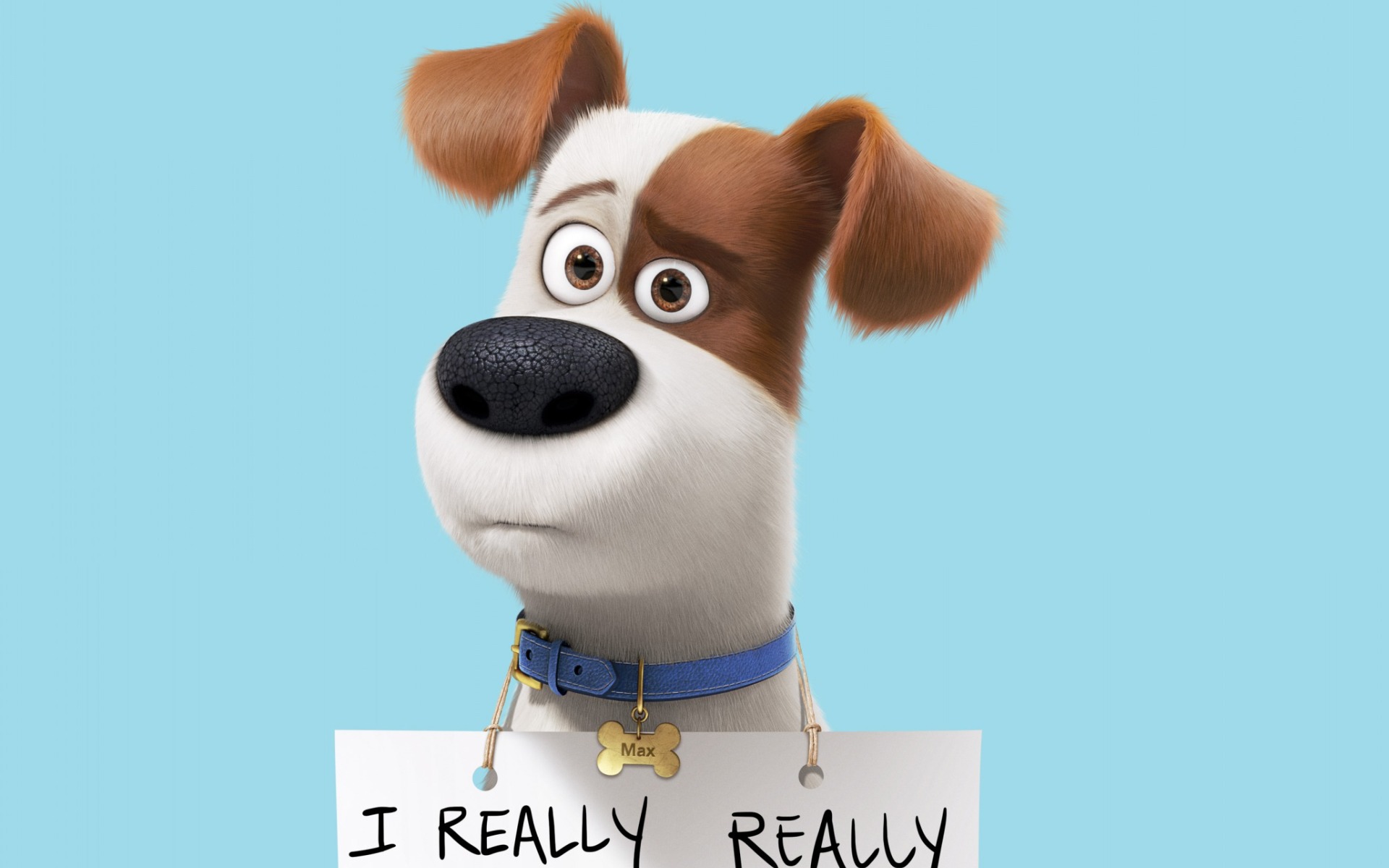 The Secret Life of Pets instal the new version for ios