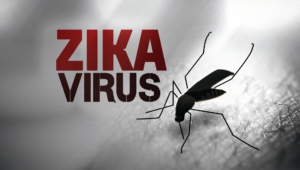 Zika Virus‬‬ Pictures