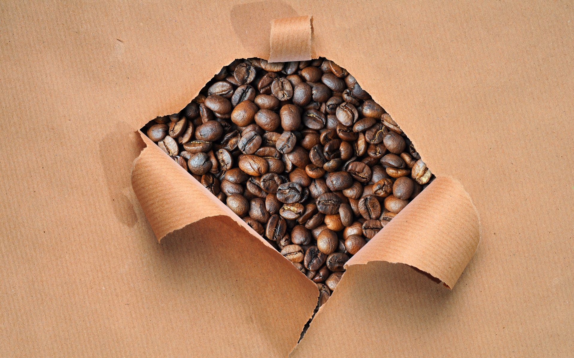 Coffee Beans 8037