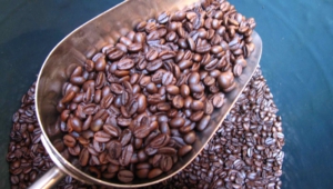 Coffee Beans Images