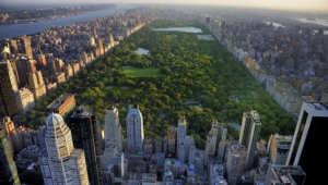 Central Park High Definition Wallpapers