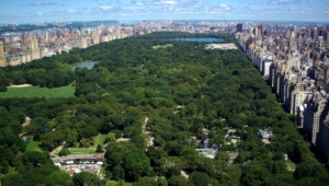 Central Park Wallpapers Hd
