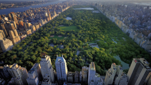 Central Park Widescreen