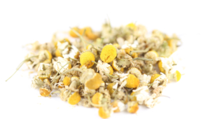 Chamomile High Quality Wallpapers