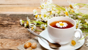 Chamomile Pictures