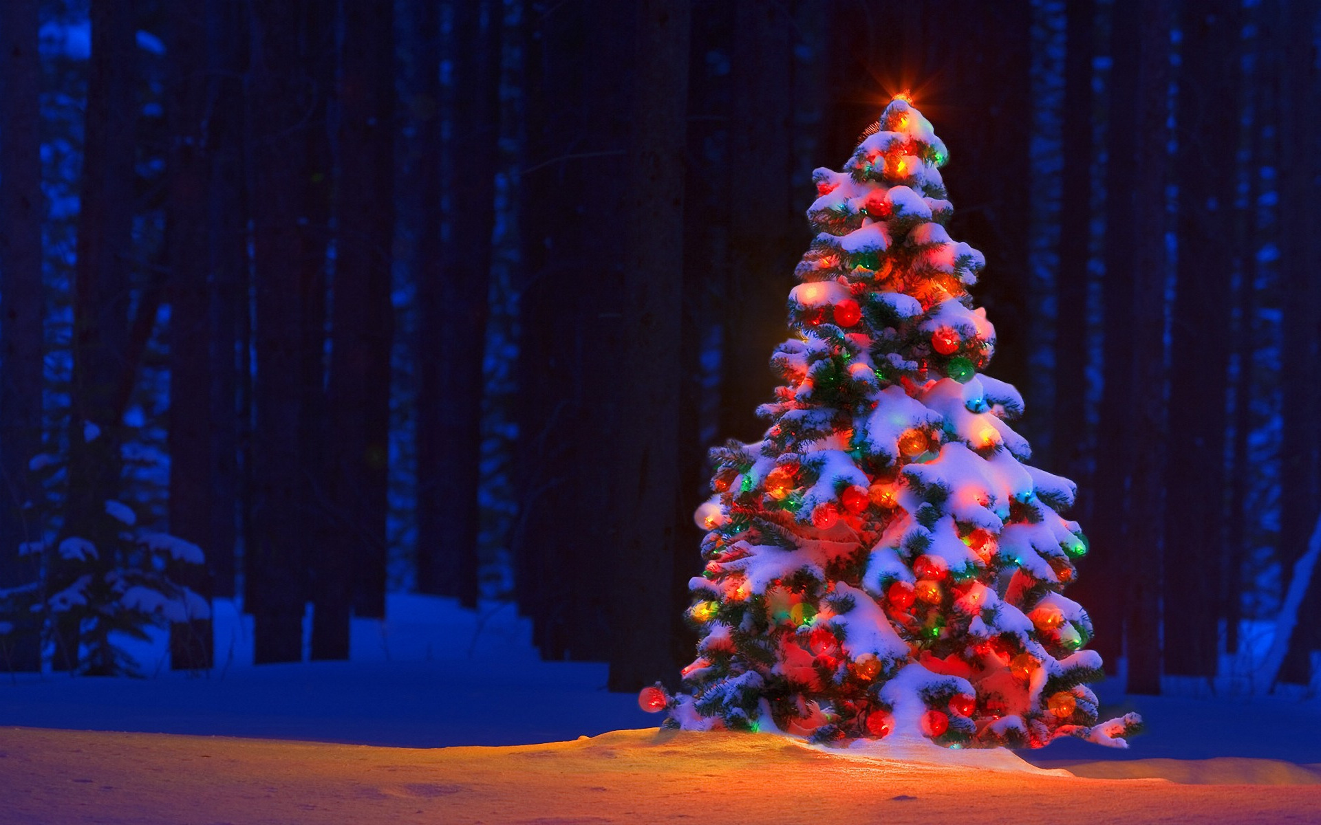 Christmas Tree Desktop Wallpaper Animated ~ Z-wave Christmas Tree ...