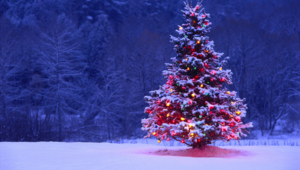 Christmas Tree Widescreen