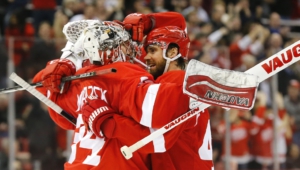 Detroit Red Wings Free Download