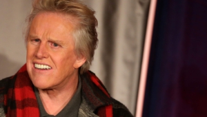 Gary Busey Wallpapers