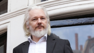 Julian Assange Hd Desktop