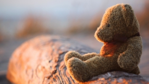 Lonely Teddy Bear