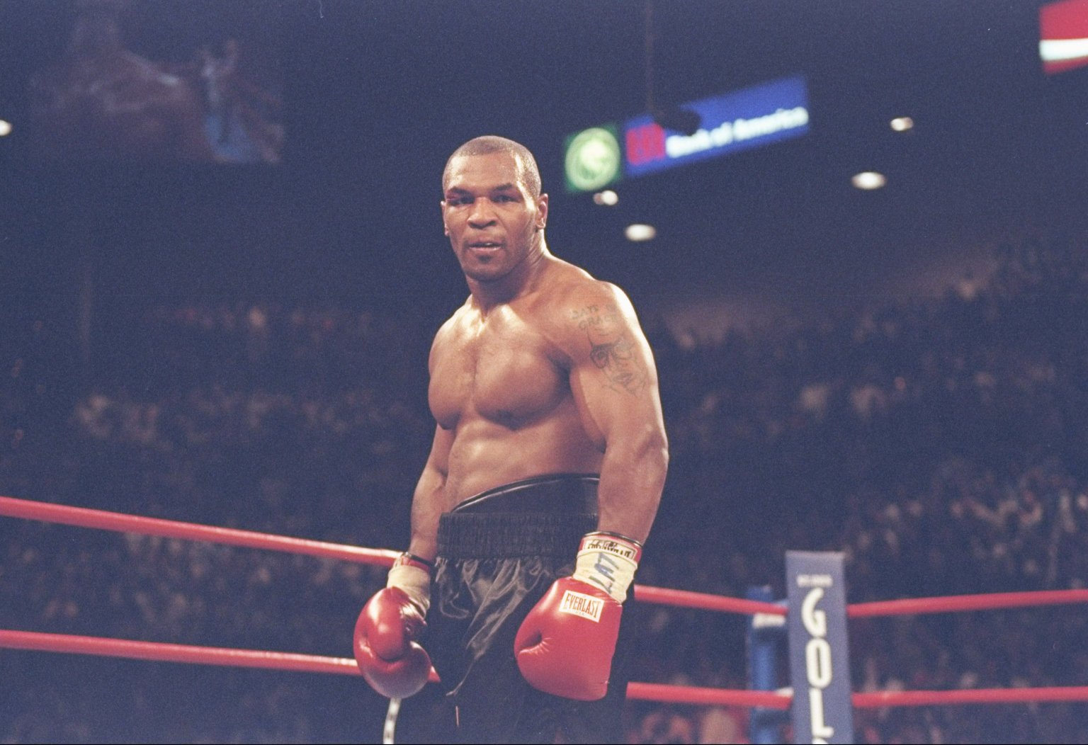 Featured image of post Mike Tyson Hd Photos Select from premium mike tyson of the highest quality