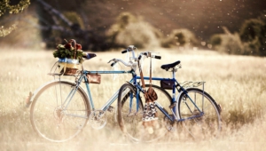 Pictures Of Bicycle