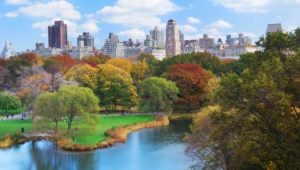 Pictures Of Central Park