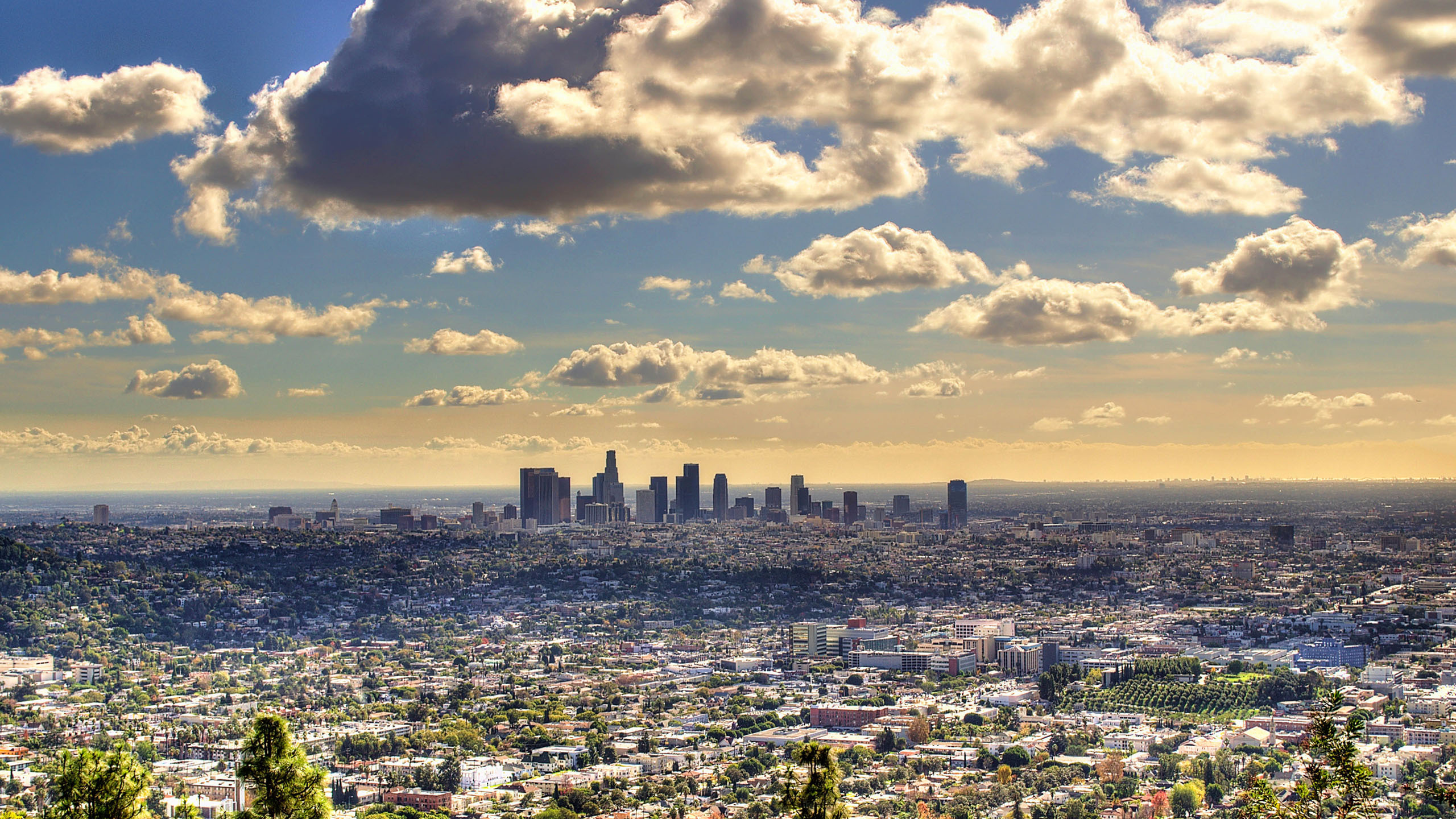 Pictures Of Los Angeles. 