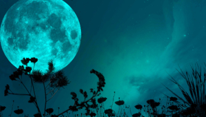 Pictures Of Night Sky Moon