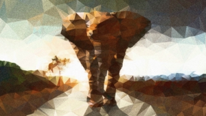 Pictures Of Polygon Elephant