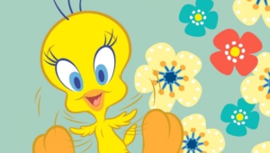 Pictures Of Tweety
