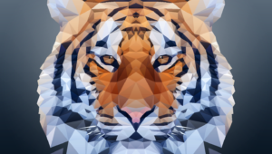 Polygon Tiger Photos