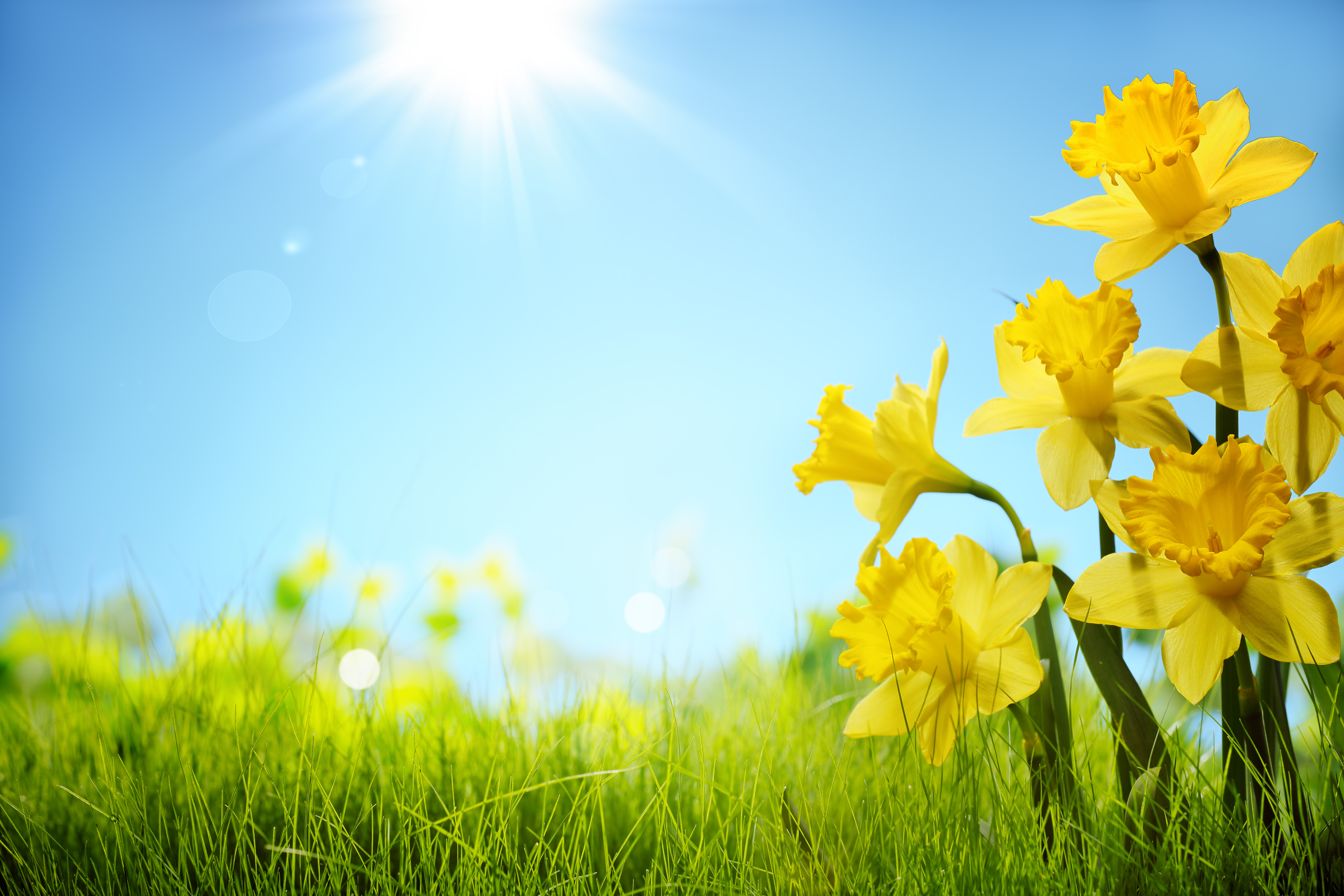 Download Spring Wallpapers Images Photos Pictures Backgrounds