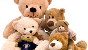 Teddy Bear Pictures