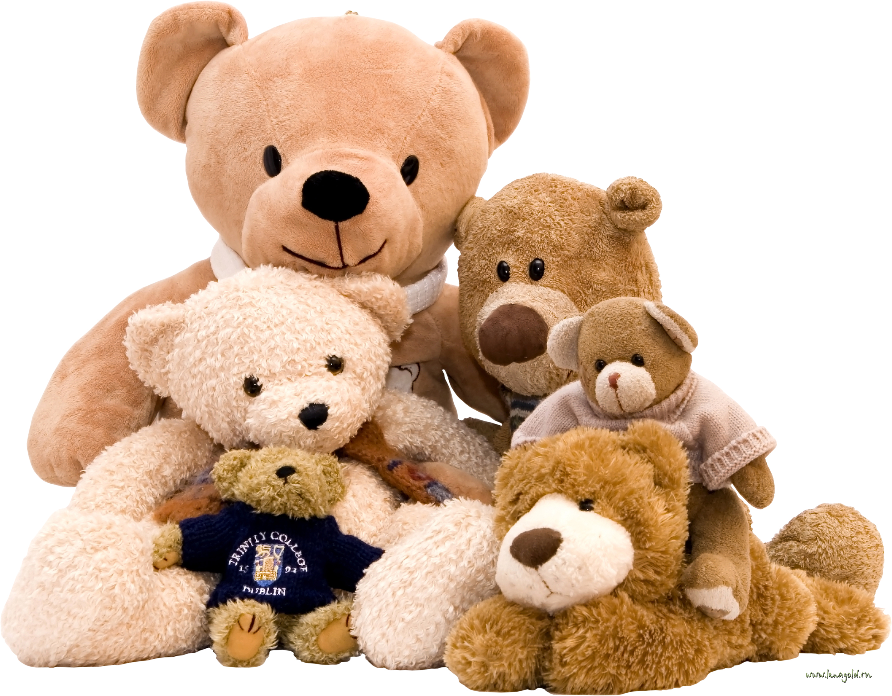 $5 teddy bears