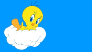Tweety Pictures