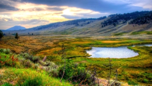Yellowstone National Park Hd Background