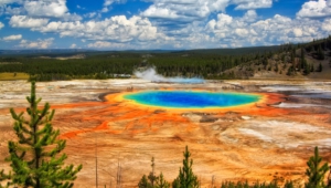 Yellowstone National Park Pictures