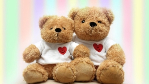 Bear Photography Love Teddy Teddy Bears
