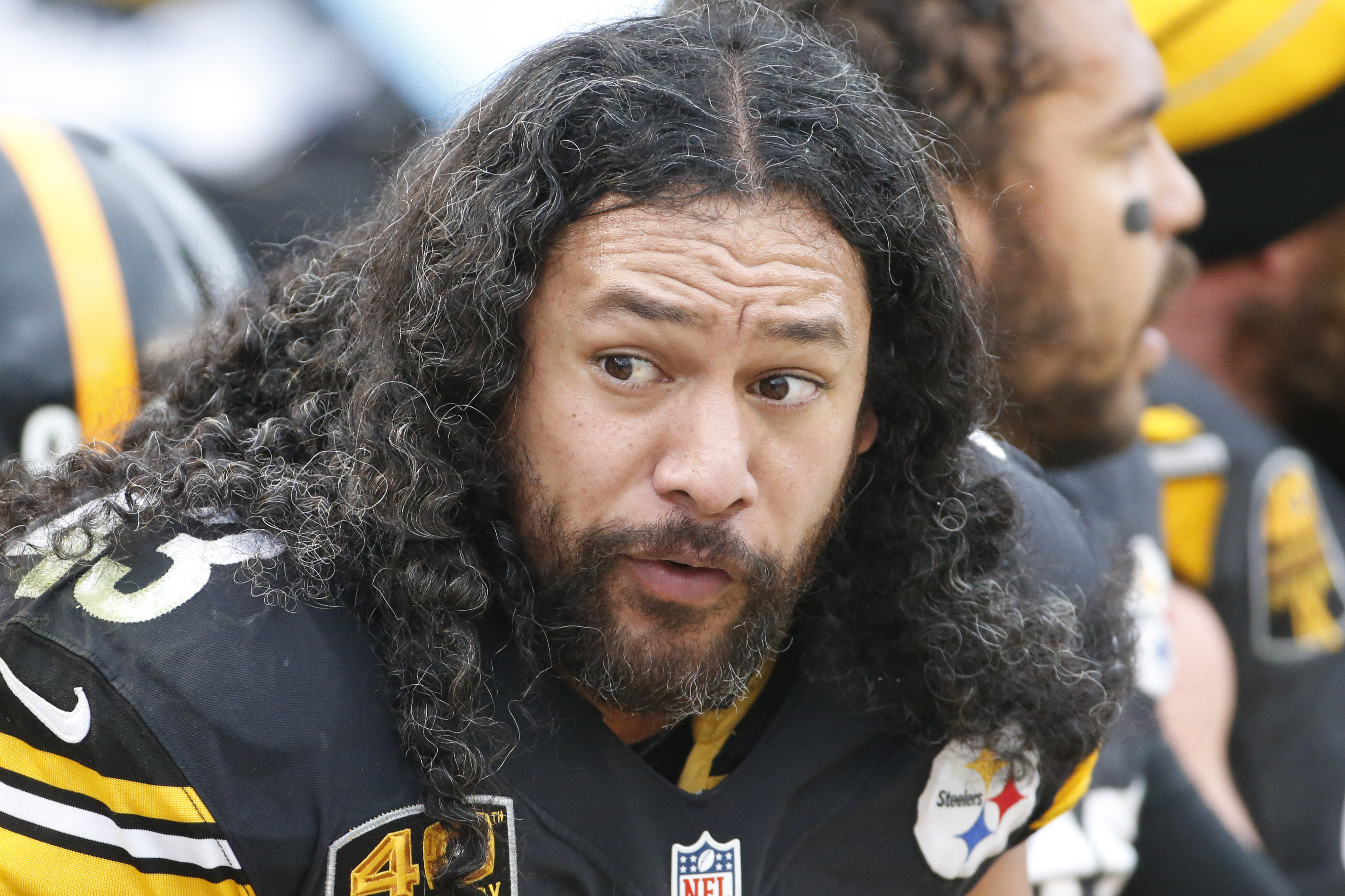 Troy Polamalu Wallpapers Images Photos Pictures Backgrounds