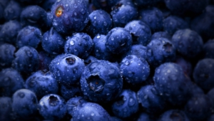 Blueberries Pictures
