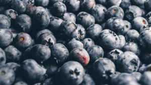 Blueberries Widescreen