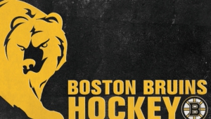 Boston Bruins Hd Wallpaper