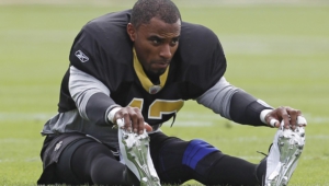 Darren Sharper Images