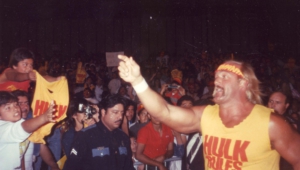 Hulk Hogan 4k