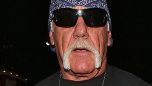 Hulk Hogan Background