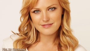 Malin Akerman High Definition