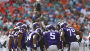 Pictures Of Minnesota Vikings