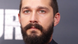 Pictures Of Shia Labeouf